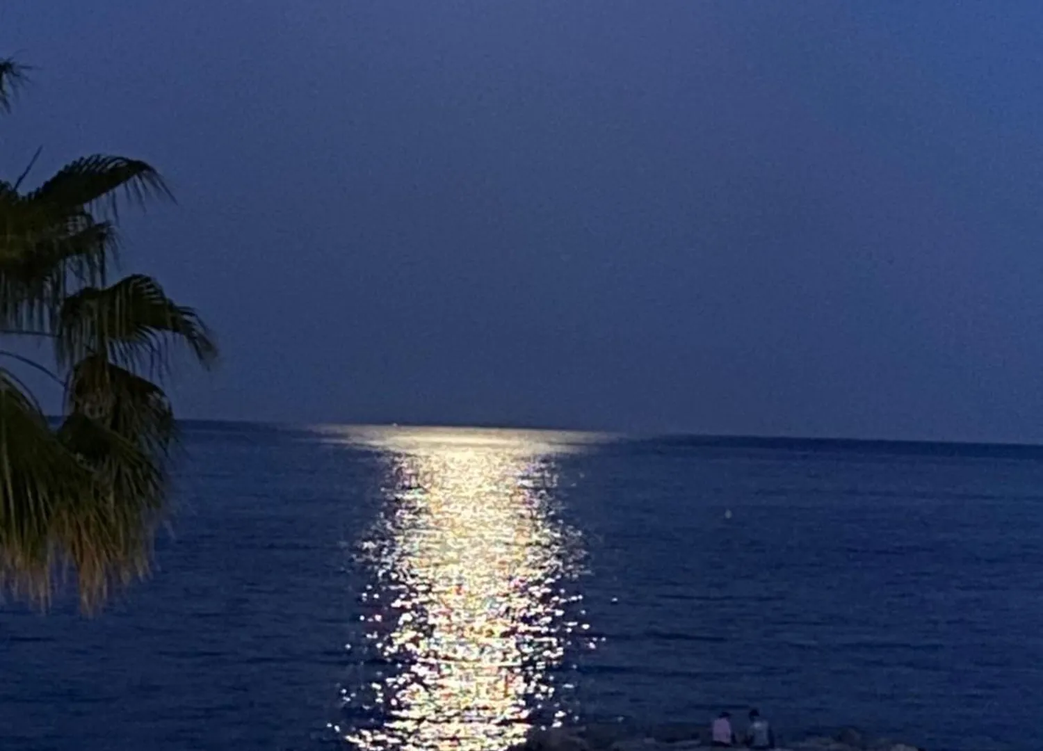 Appartamento O Phare Du Cros Cagnes-sur-Mer